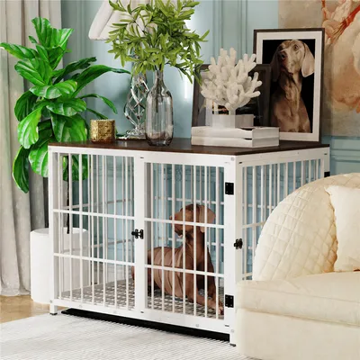 Cage d'intérieur 3 Portes BINGOPAW pour chien
