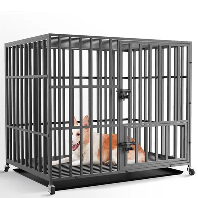 Cage d'intérieur trois portes BINGOPAW pour chien sur roulette
