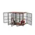 Cage d'intérieur quatre portes BINGOPAW avec Diviseur Amovible pour Chien