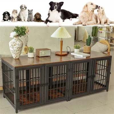 Cage d'intérieur quatre portes BINGOPAW avec Diviseur Amovible pour Chien