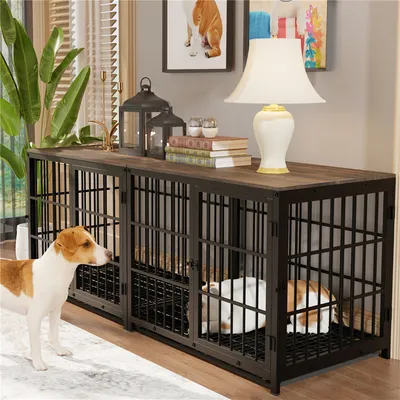 Cage d'intérieur 3 Portes BINGOPAW pour chien