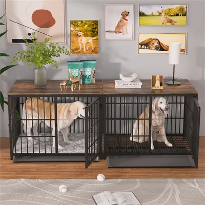 Cage d'intérieur 3 Portes BINGOPAW pour chien