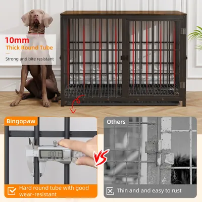 Cage d'intérieur 3 Portes BINGOPAW pour chien