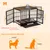 Cage d'intérieur 3 Portes BINGOPAW pour chien