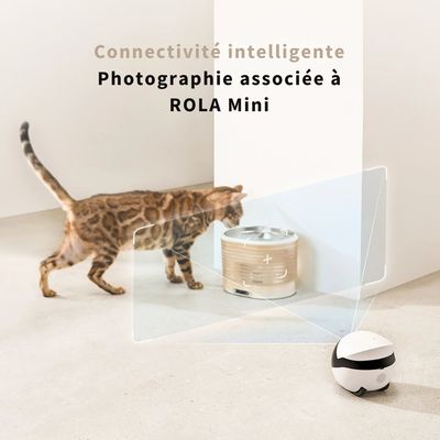 Enabot - Distributeur d'eau Rola