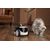 Enabot Rola PetPal - Caméra mobile pour animaux de compagnie