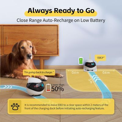 Enabot EBO AIR - Caméra mobile pour animaux de compagnie