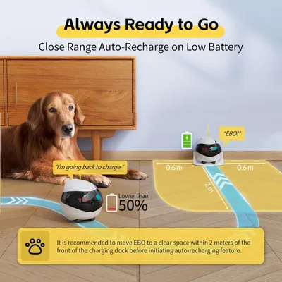 Enabot EBO AIR - Caméra mobile pour animaux de compagnie