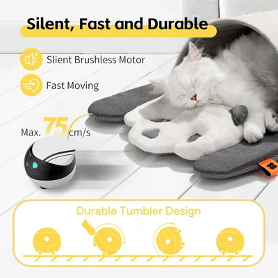 Enabot EBO AIR - Caméra mobile pour animaux de compagnie