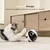 Enabot Rola Mini - Robot mobile pour animaux de compagnie