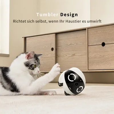 Enabot Rola Mini - Robot mobile pour animaux de compagnie