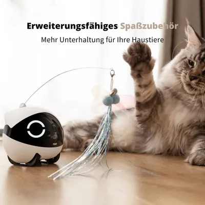 Enabot Rola Mini - Robot mobile pour animaux de compagnie