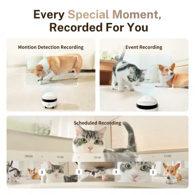 Rola Mini - Mobiler Heimtierroboter