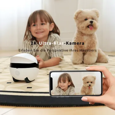 Enabot Rola Mini - Robot mobile pour animaux de compagnie