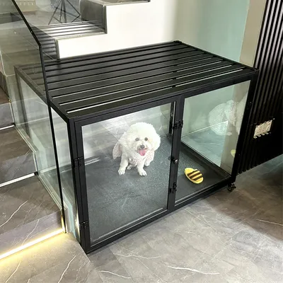 Cage Chien Transparent caisse pour Animaux à Roulette avec 2 Porte Cage Chien Transparent caisse pour Animaux à Roulette avec 2 Porte
