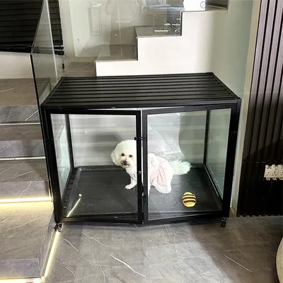 Cage Chien Transparent caisse pour Animaux à Roulette avec 2 Porte Cage Chien Transparent caisse pour Animaux à Roulette avec 2 Porte