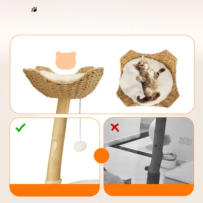 BINGOPAW Arbre à chat en Bois Naturel Living La Tour