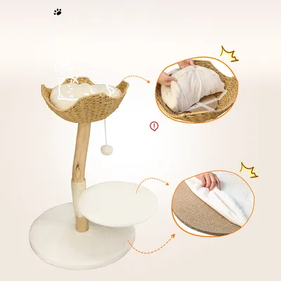 BINGOPAW Arbre à chat en Bois Naturel Living La Tour