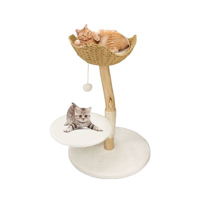 BINGOPAW Arbre à chat en Bois Naturel Living La Tour
