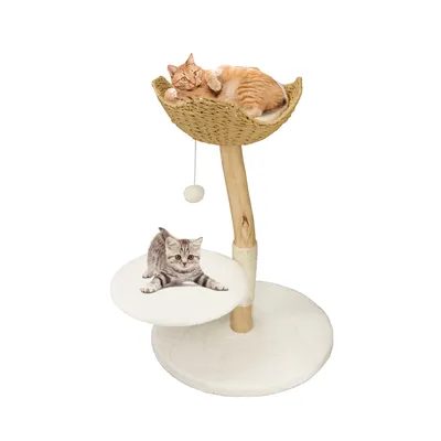 BINGOPAW Arbre à chat en Bois Naturel Living La Tour