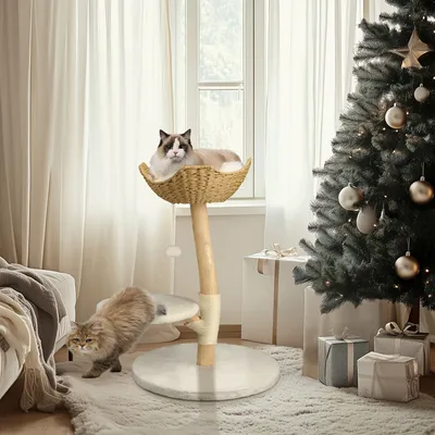 BINGOPAW Arbre à chat en Bois Naturel Living La Tour