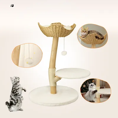 BINGOPAW Arbre à chat en Bois Naturel Living La Tour