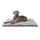 XXL 120 x 80 x 3cm gris