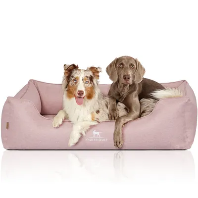Knuffelwuff Panier orthopédique pour chien Luisa