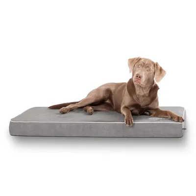 Knuffelwuff Tapis pour chien Maui