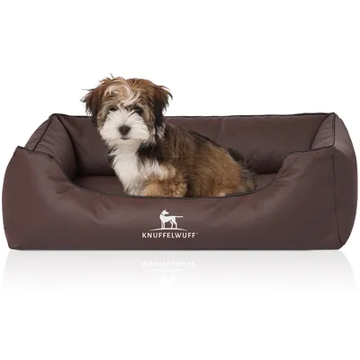 Knuffelwuff Panier orthopédique pour chien Madison