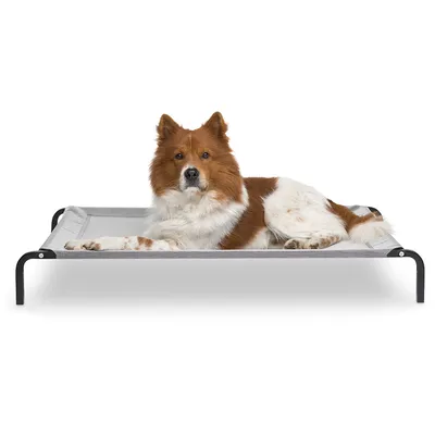 Knuffelwuff Hundeliege In und Outdoor