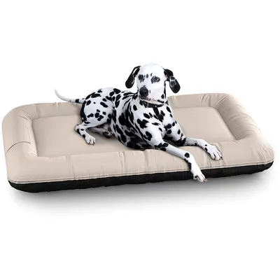 Knuffelwuff Panier pour chien hydrofuge Color Edition Lucky