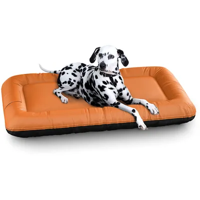 Knuffelwuff Panier pour chien hydrofuge Color Edition Lucky Knuffelwuff Panier pour chien hydrofuge Color Edition Lucky
