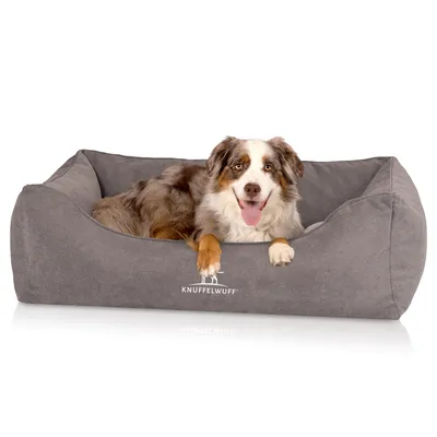 Knuffelwuff Panier orthopédique pour chien Baltimore