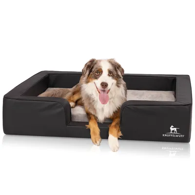 Knuffelwuff Panier orthopédique pour chien Indianapolis Knuffelwuff Panier orthopédique pour chien Indianapolis