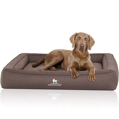 Knuffelwuff Panier orthopédique pour chien Yukon