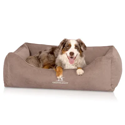 Knuffelwuff orthopädisches Hundebett mit Fächer-Wendekissen Baltimore Knuffelwuff orthopädisches Hundebett mit Fächer-Wendekissen Baltimore