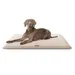 Knuffelwuff kuschelige Hundematte Calliope aus Teddy Material