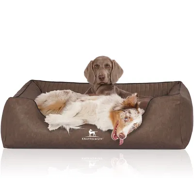 Knuffelwuff Panier orthopédique pour chien Chesapeake