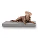 Knuffelwuff Hundematte Maui aus Velours mit 9cm Schaumstoff