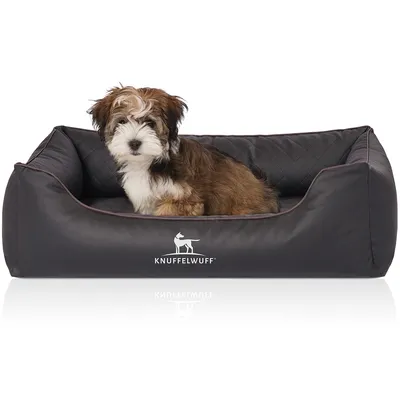 Knuffelwuff Panier orthopédique pour chien Madison
