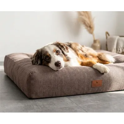 Knuffelwuff Panier orthopédique pour chien Sofia