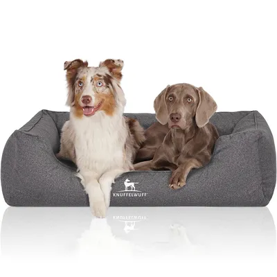 Knuffelwuff Panier pour chien orthopédique et hydrofuge Malou