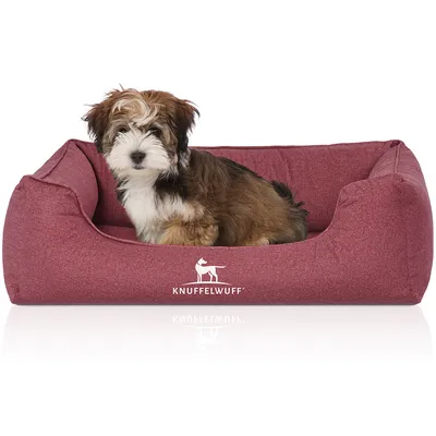 Knuffelwuff Panier pour chien orthopédique et hydrofuge Malou
