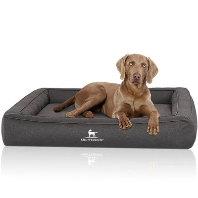 Knuffelwuff Panier orthopédique pour chien Yukon