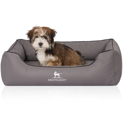Knuffelwuff Panier orthopédique pour chien Madison