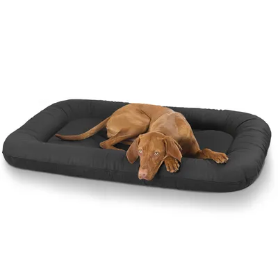 Knuffelwuff Kunstleder Hundebett Jerry