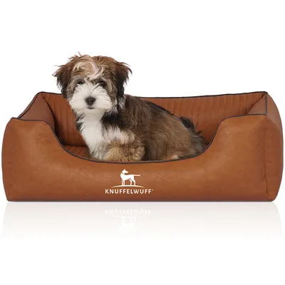 Knuffelwuff Orthopädisches Hundebett Chesapeake aus Kunstleder Knuffelwuff Orthopädisches Hundebett Chesapeake aus Kunstleder