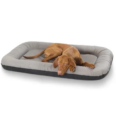 Knuffelwuff Panier pour chien Jerry