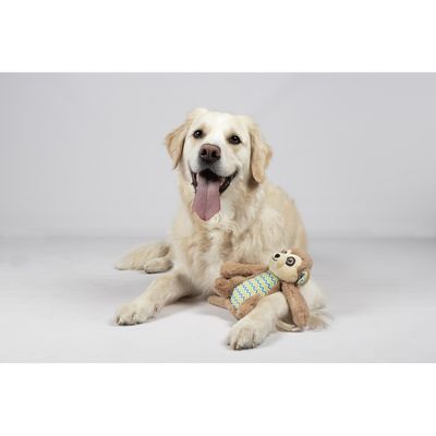 Jouet Drala Singe Brun H 21 cm pour chien